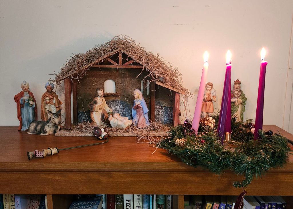 20241220_153812980425645209296031